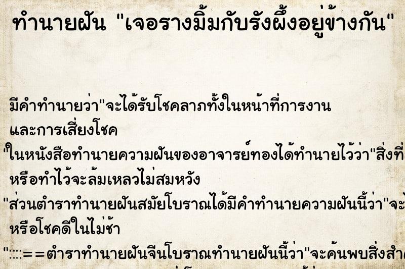 ทำนายฝันเจอรางมิ้มกับรังผึ้งอยู่ข้างกัน ทำนายฝันทำนายฝันเจอรางมิ้มกับรังผึ้งอยู่ข้างกัน