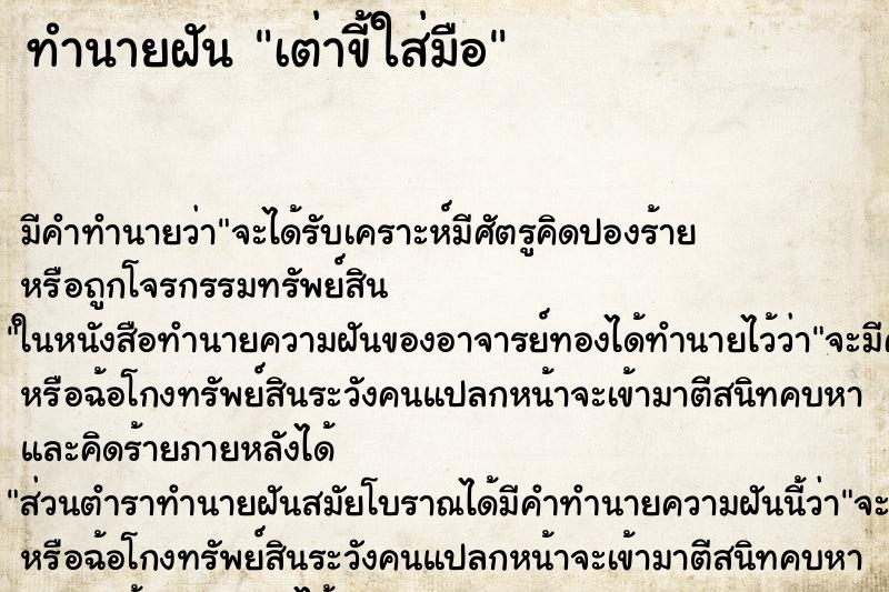 ทำนายฝัน เต่าขี้ใส่มือ ตำราโบราณ แม่นที่สุดในโลก