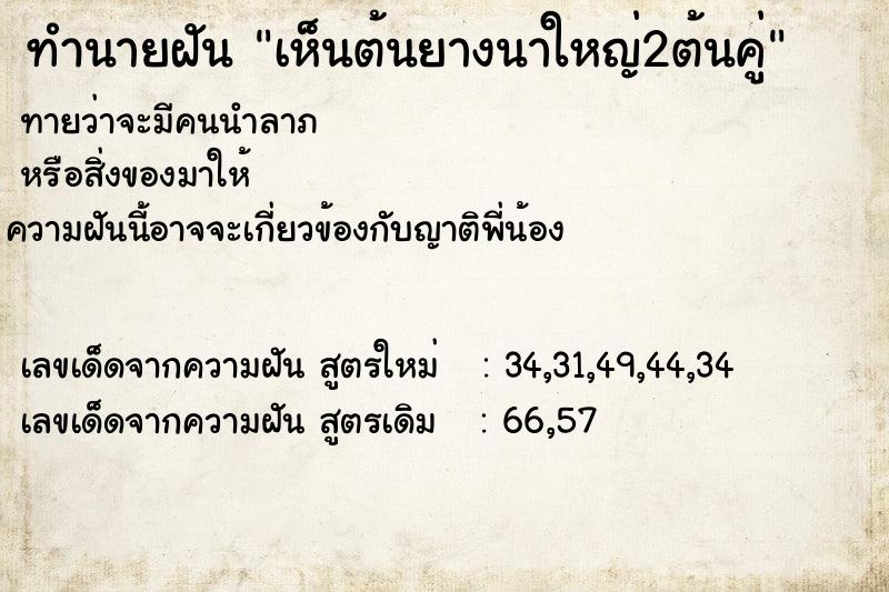 ทำนายฝันเห็นต้นยางนาใหญ่2ต้นคู่ ทำนายฝันทำนายฝันเห็นต้นยางนาใหญ่2ต้นคู่