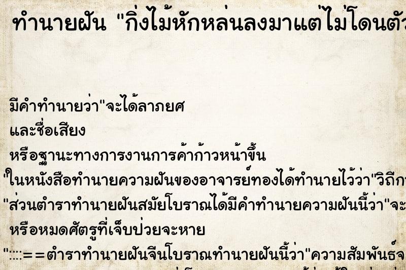 ทำนายฝัน กิ่งไม้หักหล่นลงมาแต่ไม่โดนตัวเรา