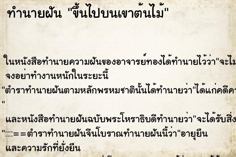 ทำนายฝันขึ้นไปบนเขาต้นไม้ ทำนายฝันทำนายฝันขึ้นไปบนเขาต้นไม้