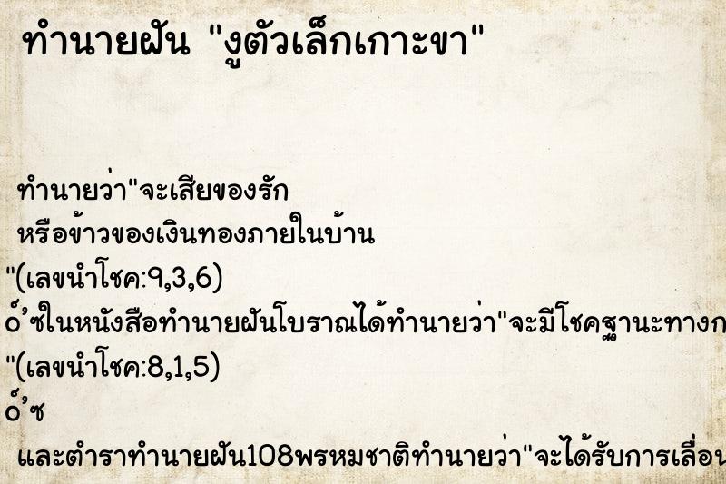 ทำนายฝันงูตัวเล็กเกาะขา ทำนายฝันทำนายฝันงูตัวเล็กเกาะขา