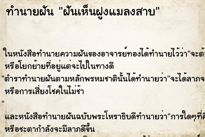 ทำนายฝัน ฝันเห็นฝูงแมลงสาบ ทำนายฝัน ฝันเห็นฝูงแมลงสาบ