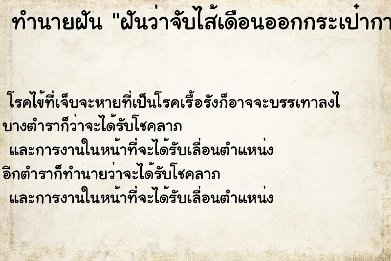 ทำนายฝันฝันว่าจับไส้เดือนออกกระเป๋ากางเกง ทำนายฝันทำนายฝันฝันว่าจับไส้เดือนออกกระเป๋ากางเกง