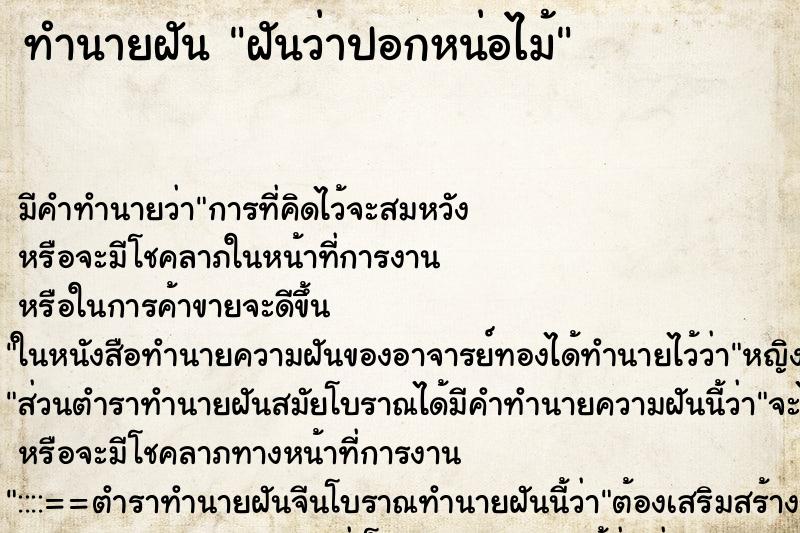 ทำนายฝันทำนายฝันฝันว่าปอกหน่อไม้