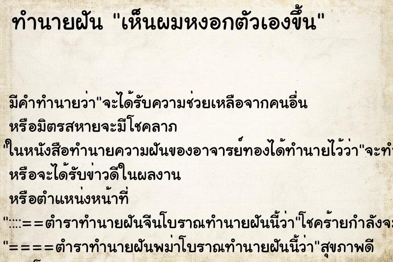 ทำนายฝันเห็นผมหงอกตัวเองขึ้น ทำนายฝันทำนายฝันเห็นผมหงอกตัวเองขึ้น