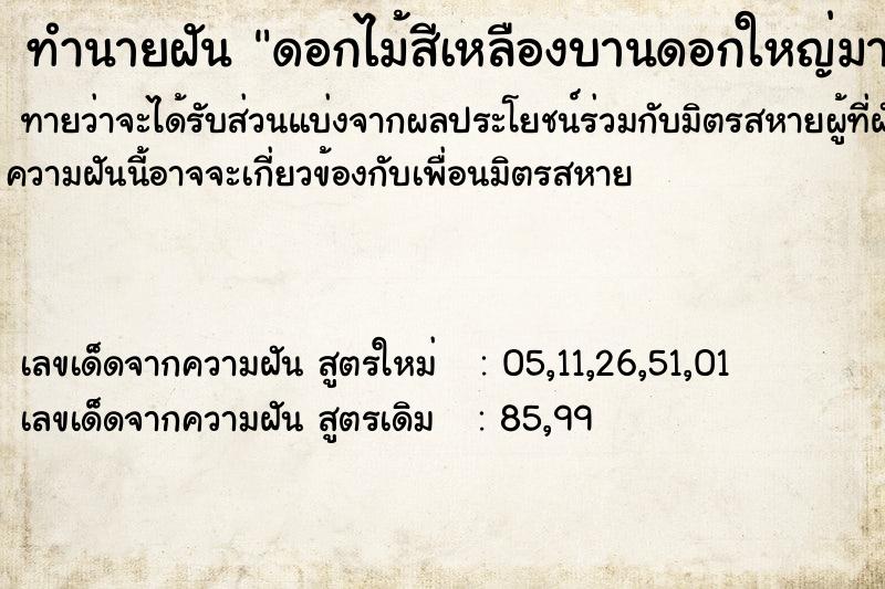 ทำนายฝันดอกไม้สีเหลืองบานดอกใหญ่มาก ทำนายฝันทำนายฝันดอกไม้สีเหลืองบานดอกใหญ่มาก