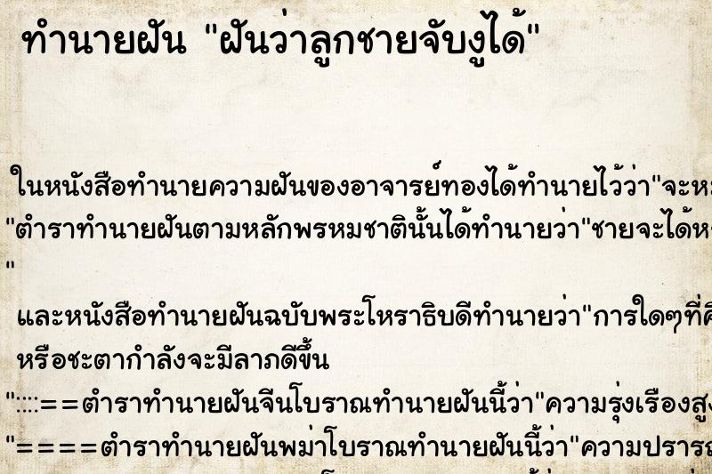 ทำนายฝันฝันว่าลูกชายจับงูได้ ทำนายฝันทำนายฝันฝันว่าลูกชายจับงูได้