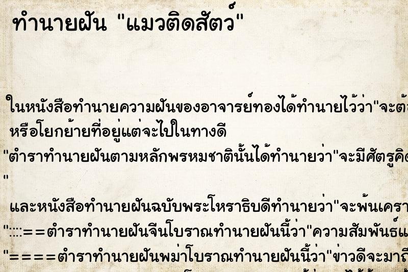 ทำนายฝัน แมวติดสัตว์ ทำนายฝัน แมวติดสัตว์