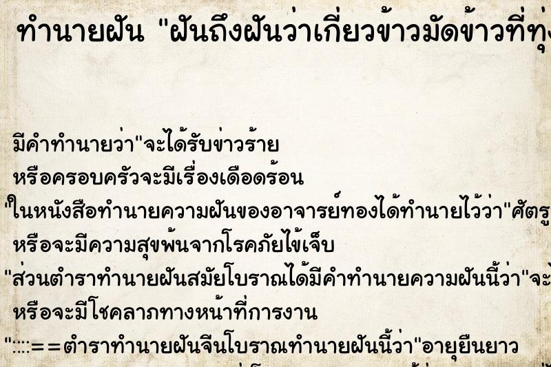 ทำนายฝันฝันถึงฝันว่าเกี่ยวข้าวมัดข้าวที่ทุ่งนา ทำนายฝันทำนายฝันฝันถึงฝันว่าเกี่ยวข้าวมัดข้าวที่ทุ่งนา