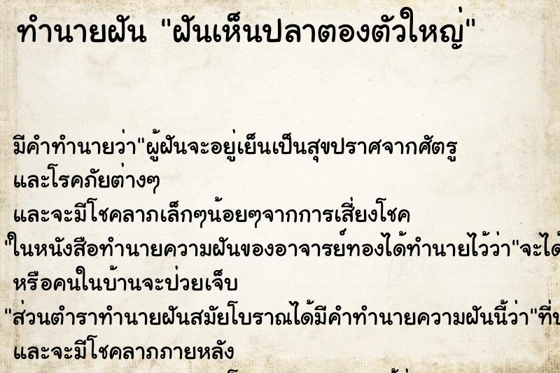 ทำนายฝัน ฝันเห็นปลาตองตัวใหญ่ ตำราโบราณ แม่นที่สุดในโลก