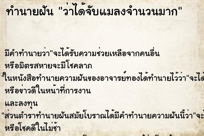 ทำนายฝัน ว่าได้จับแมลงจำนวนมาก