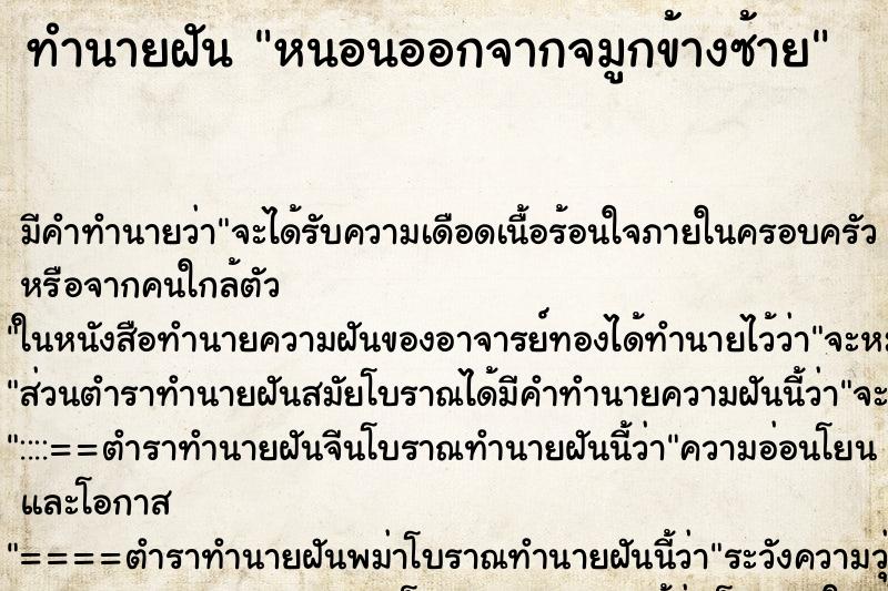 ทำนายฝัน หนอนออกจากจมูกข้างซ้าย ทำนายฝัน หนอนออกจากจมูกข้างซ้าย