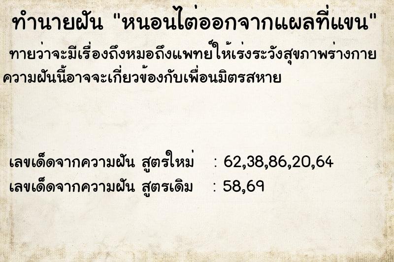 ทำนายฝันทำนายฝันหนอนไต่ออกจากแผลที่แขน