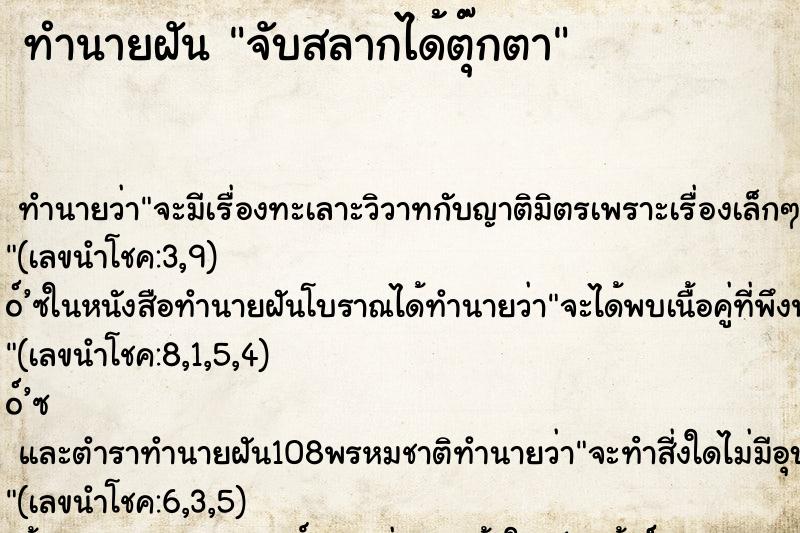 ทำนายฝันจับสลากได้ตุ๊กตา ทำนายฝันทำนายฝันจับสลากได้ตุ๊กตา