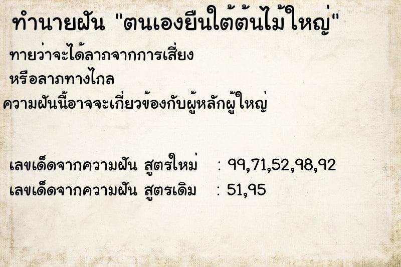 ทำนายฝันตนเองยืนใต้ต้นไม้ใหญ่ ทำนายฝันทำนายฝันตนเองยืนใต้ต้นไม้ใหญ่