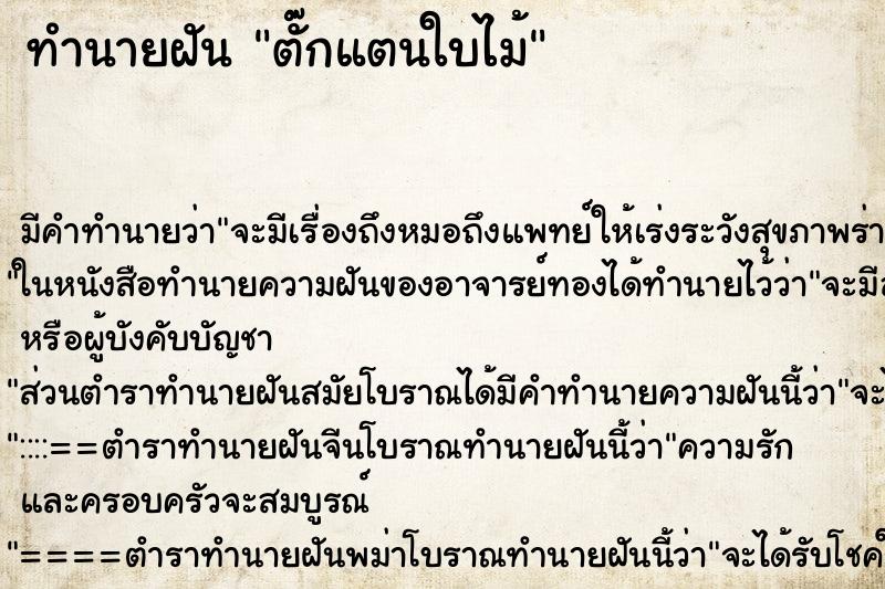 ทำนายฝันทำนายฝันตั๊กแตนใบไม้