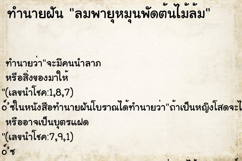 ทำนายฝัน ลมพายุหมุนพัดต้นไม้ล้ม ตำราโบราณ แม่นที่สุดในโลก