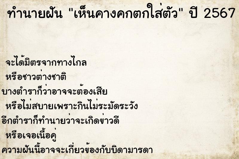 ทำนายฝัน เห็นคางคกตกใส่ตัว ทำนายฝัน เห็นคางคกตกใส่ตัว