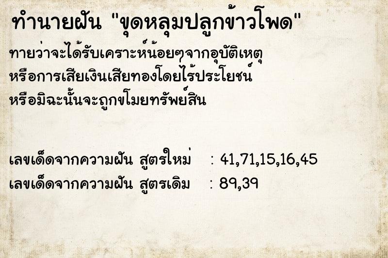 ทำนายฝันทำนายฝันขุดหลุมปลูกข้าวโพด