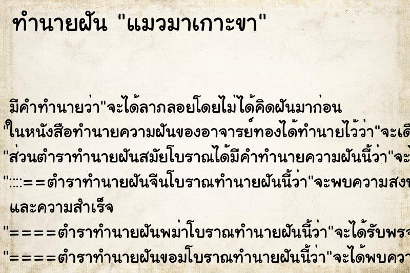 ทำนายฝัน แมวมาเกาะขา ทำนายฝัน แมวมาเกาะขา