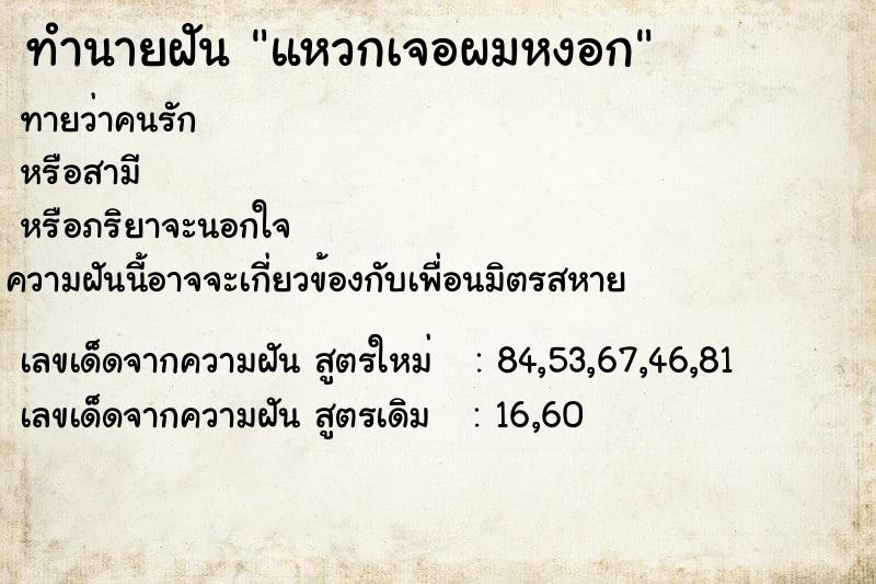 ทำนายฝันแหวกเจอผมหงอก ทำนายฝันทำนายฝันแหวกเจอผมหงอก