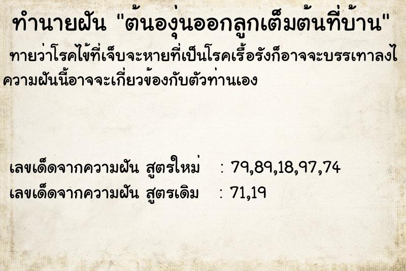 ทำนายฝันต้นองุ่นออกลูกเต็มต้นทีี่บ้าน ทำนายฝันทำนายฝันต้นองุ่นออกลูกเต็มต้นทีี่บ้าน