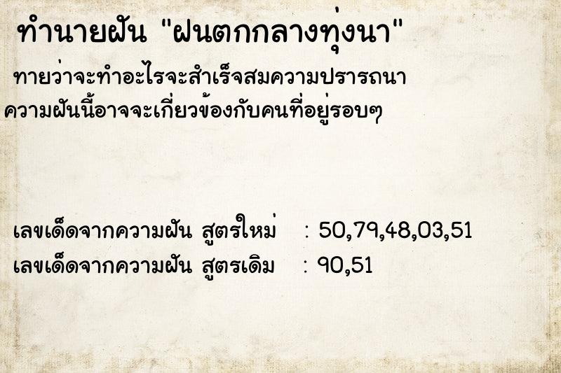 ทำนายฝันฝนตกกลางทุ่งนา ทำนายฝันทำนายฝันฝนตกกลางทุ่งนา