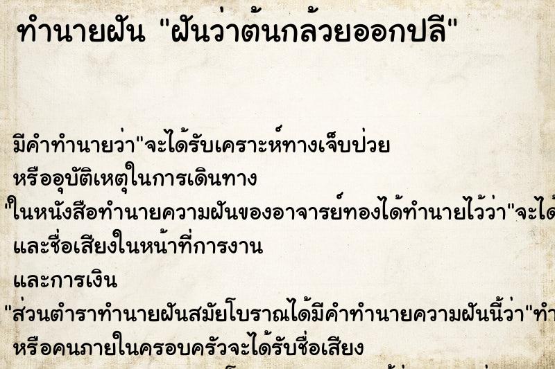 ทำนายฝัน ฝันว่าต้นกล้วยออกปลี ทำนายฝัน ฝันว่าต้นกล้วยออกปลี