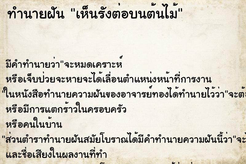 ทำนายฝันเห็นรังต่อบนต้นไม้ ทำนายฝันทำนายฝันเห็นรังต่อบนต้นไม้