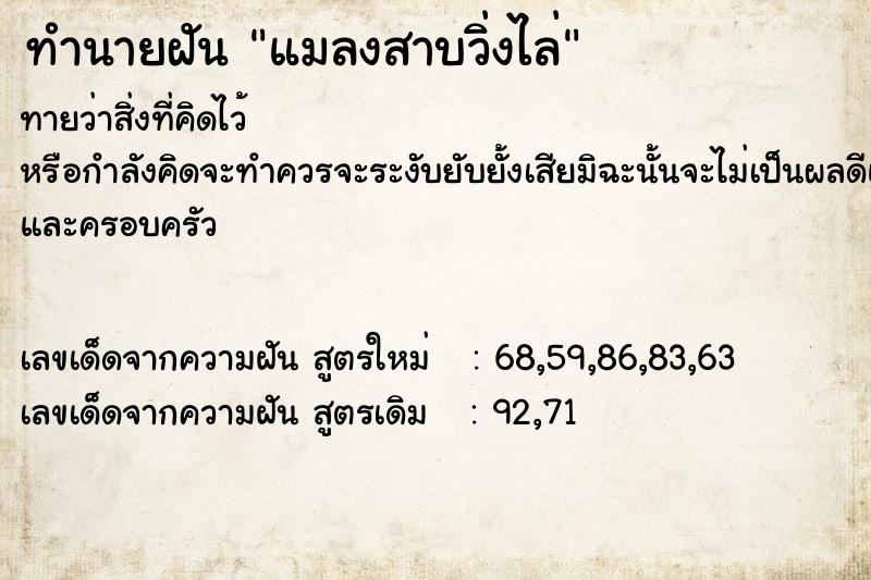 ทำนายฝันแมลงสาบวิ่งไล่ ทำนายฝันทำนายฝันแมลงสาบวิ่งไล่
