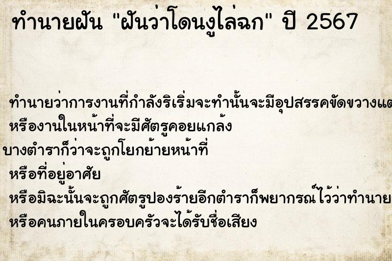 ทำนายฝัน ฝันว่าโดนงูไล่ฉก ทำนายฝัน ฝันว่าโดนงูไล่ฉก