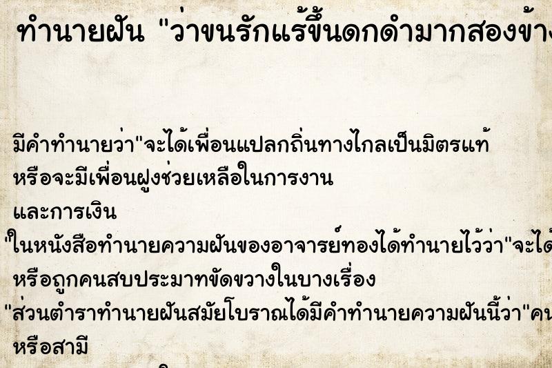 ทำนายฝัน ว่าขนรักแร้ขึ้นดกดำมากสองข้าง ทำนายฝัน ว่าขนรักแร้ขึ้นดกดำมากสองข้าง
