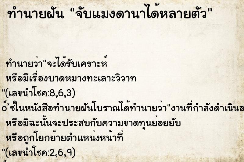 ทำนายฝัน จับแมงดานาได้หลายตัว ทำนายฝัน จับแมงดานาได้หลายตัว