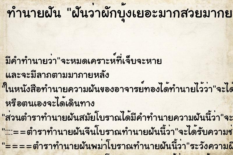 ทำนายฝันฝันว่าผักบุ้งเยอะมากสวยมากยอดอ่อนเต็มไปหมด ทำนายฝันทำนายฝันฝันว่าผักบุ้งเยอะมากสวยมากยอดอ่อนเต็มไปหมด