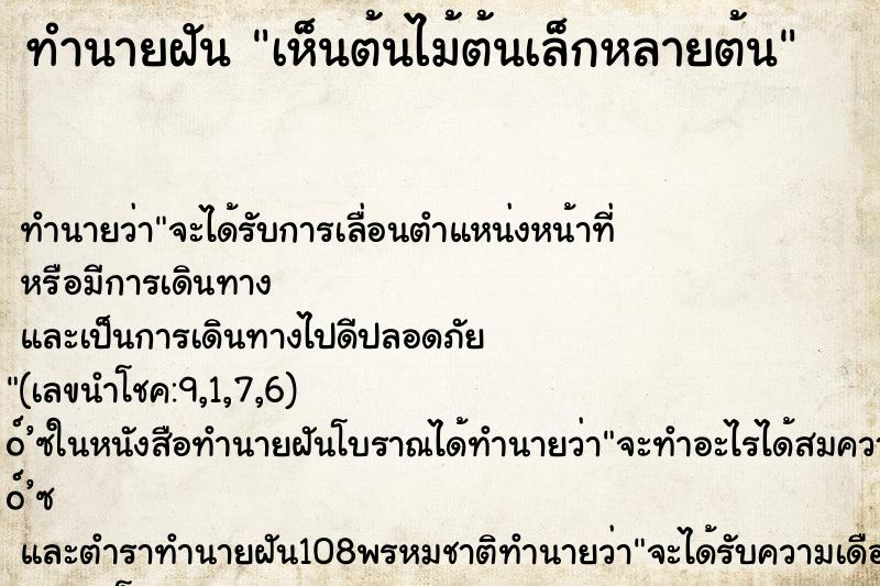 ทำนายฝันเห็นต้นไม้ต้นเล็กหลายต้น ทำนายฝันทำนายฝันเห็นต้นไม้ต้นเล็กหลายต้น