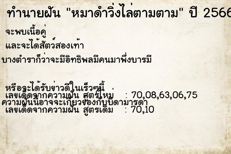 ทำนายฝันหมาดำวิ่งไล่ตามตาม ทำนายฝันทำนายฝันหมาดำวิ่งไล่ตามตาม