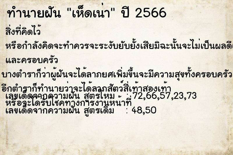 ทำนายฝันเห็ดเน่า ทำนายฝันทำนายฝันเห็ดเน่า