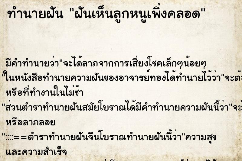 ทำนายฝันฝันเห็นลูกหนูเพิ่งคลอด ทำนายฝันทำนายฝันฝันเห็นลูกหนูเพิ่งคลอด