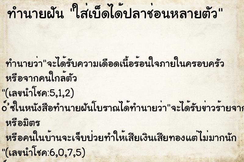 ทำนายฝัน ใส่เบ็ดได้ปลาช่อนหลายตัว