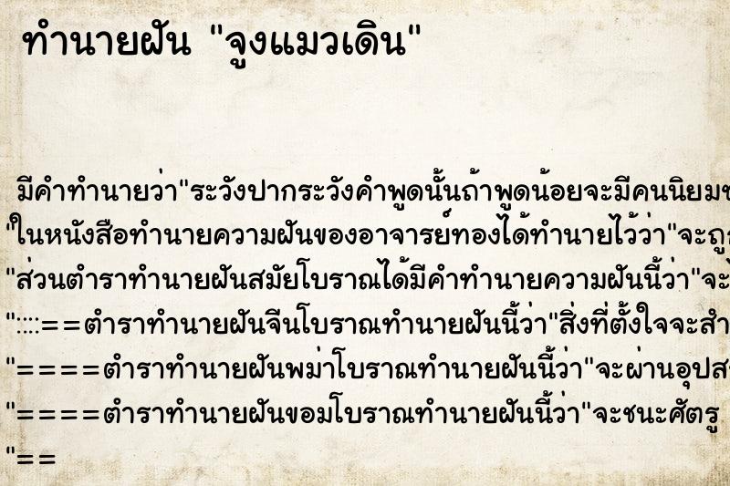 ทำนายฝัน จูงแมวเดิน ทำนายฝัน จูงแมวเดิน
