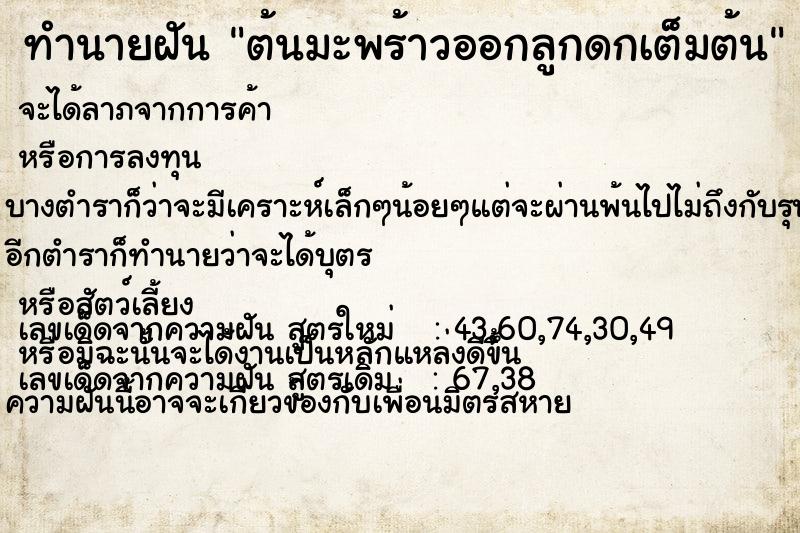 ทำนายฝัน ต้นมะพร้าวออกลูกดกเต็มต้น ทำนายฝัน ต้นมะพร้าวออกลูกดกเต็มต้น