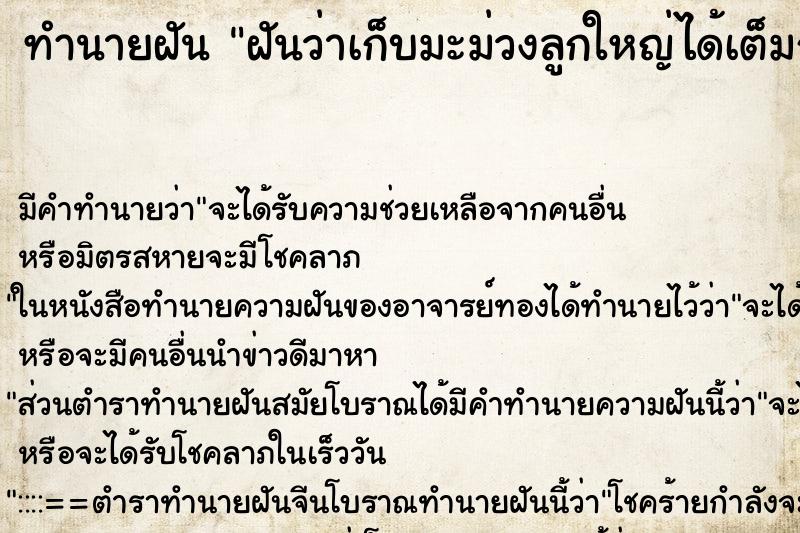 ทำนายฝัน ฝันว่าเก็บมะม่วงลูกใหญ่ได้เต็มถุง ทำนายฝัน ฝันว่าเก็บมะม่วงลูกใหญ่ได้เต็มถุง
