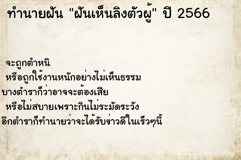 ทำนายฝันทำนายฝันฝันเห็นลิงตัวผู้