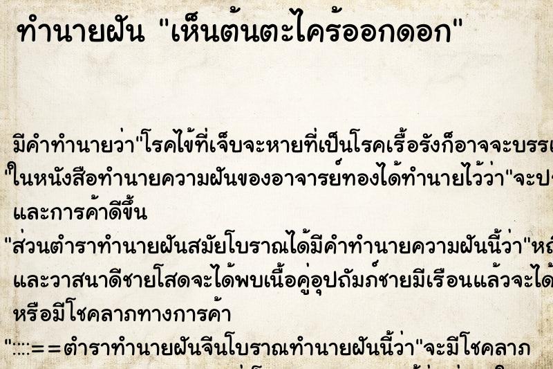 ทำนายฝัน เห็นต้นตะไคร้ออกดอก ทำนายฝัน เห็นต้นตะไคร้ออกดอก