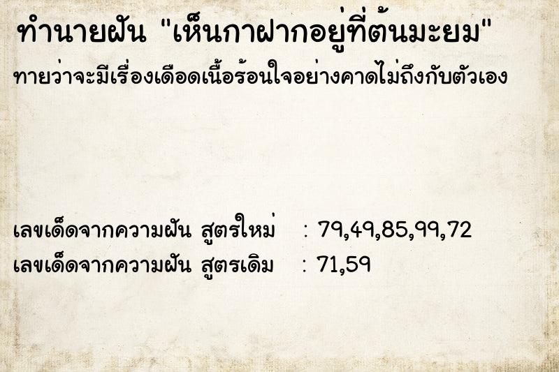ทำนายฝันเห็นกาฝากอยู่ที่ต้นมะยม ทำนายฝันทำนายฝันเห็นกาฝากอยู่ที่ต้นมะยม