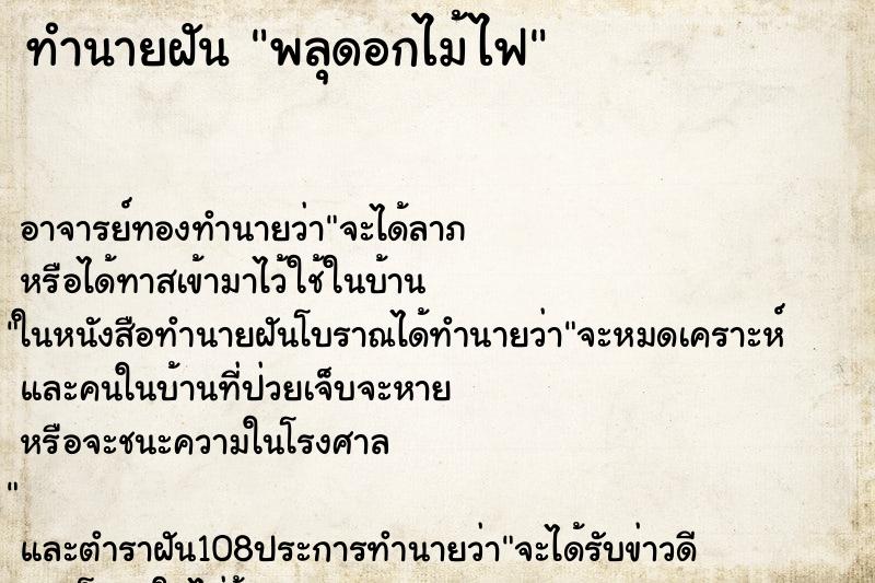 ทำนายฝัน พลุดอกไม้ไฟ ตำราโบราณ แม่นที่สุดในโลก