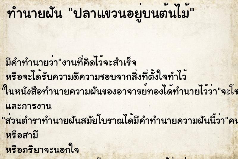 ทำนายฝันปลาแขวนอยู่บนต้นไม้ ทำนายฝันทำนายฝันปลาแขวนอยู่บนต้นไม้