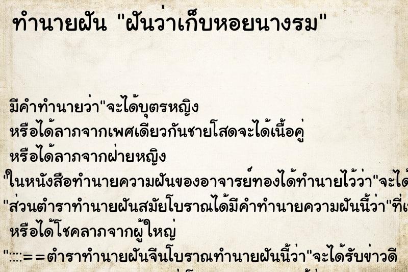 ทำนายฝันฝันว่าเก็บหอยนางรม ทำนายฝันทำนายฝันฝันว่าเก็บหอยนางรม