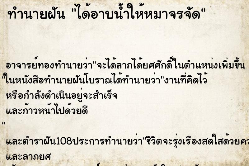 ทำนายฝันได้อาบน้ำให้หมาจรจัด ทำนายฝันทำนายฝันได้อาบน้ำให้หมาจรจัด